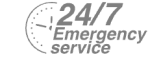 24/7 Emergency Service Pest Control in Radlett, Shenley, WD7. Call Now! 020 8166 9746